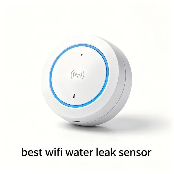best wifi water leak sensor (2)